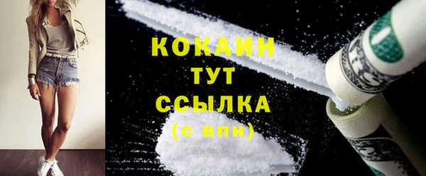 стафф Гусев