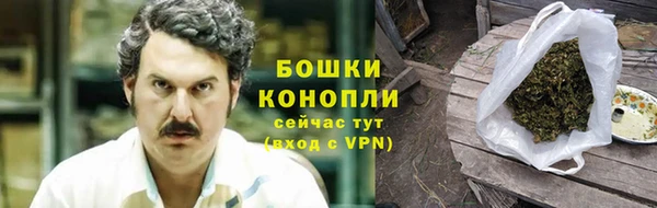 стафф Гусев