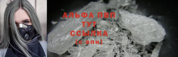 стафф Гусев