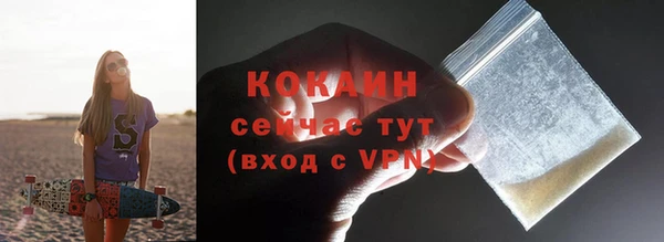 стафф Гусев