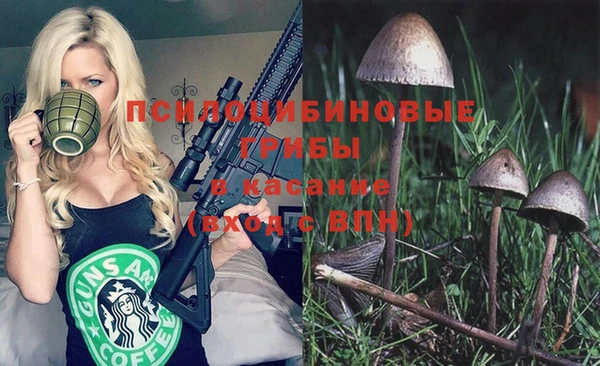 прущие крисы Гусиноозёрск