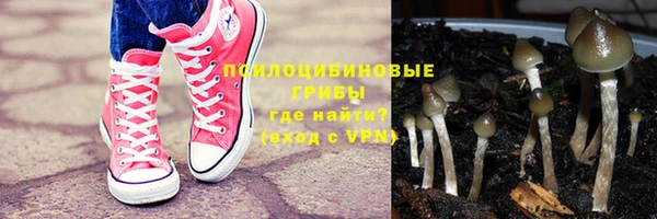 ALPHA-PVP Дмитриев