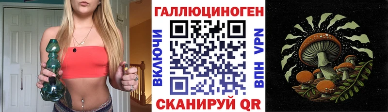Псилоцибиновые грибы Psilocybe  Купить закладки  Корсаков 